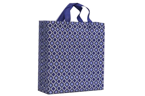 Carry Bags in Ahmedabad