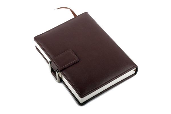 Diary Leather