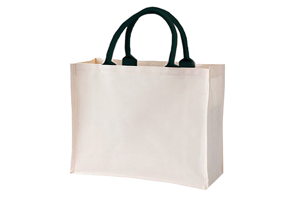 Laminated Cotton Bags in Ahmedabad